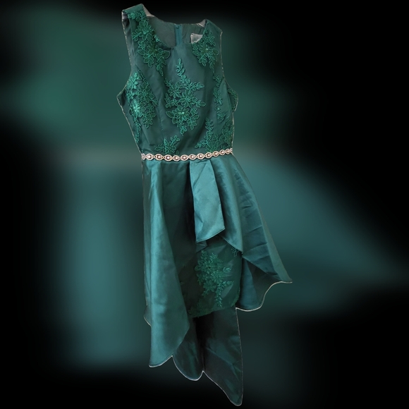 Girl's green lace & satin prom formal dress by Rare Editions from Macy's Size 16 - Picture 8 of 16